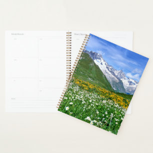 Gebirge Schweizer Alpenfrühling Planer
