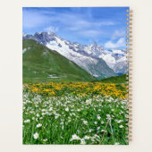 Gebirge | Schweizer Alpenfrühling Planer (Rückseite)