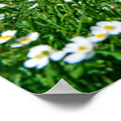 Gebirge | Schweizer Alpenfrühling Poster (Ecke)