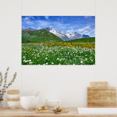Gebirge | Schweizer Alpenfrühling Poster (Küche)
