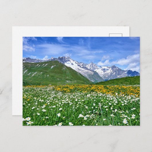 Gebirge | Schweizer Alpenfrühling Postkarte (Vorne/Hinten)