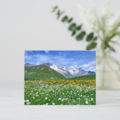 Gebirge | Schweizer Alpenfrühling Postkarte (Stehend Vorderseite)