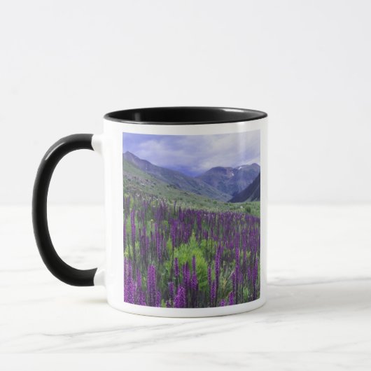 Gebirge und Wildblumen auf Almwiesen, 2 Tasse (Links)