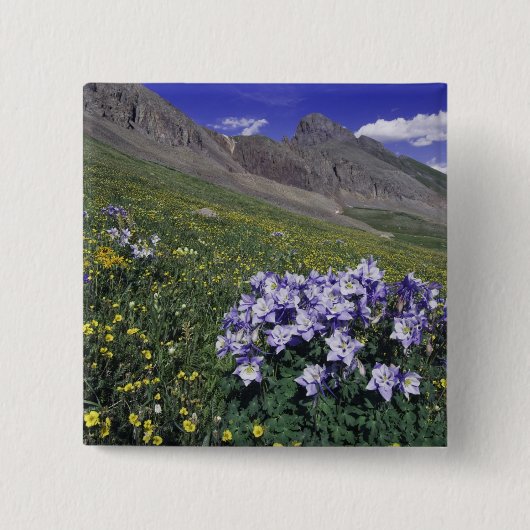 Gebirge und Wildblumen auf Almwiesen, blau Button (Vorderseite)