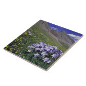 Gebirge und Wildblumen auf Almwiesen, blau Fliese (Seite)