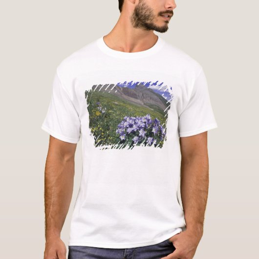 Gebirge und Wildblumen auf Almwiesen, blau T-Shirt (Vorderseite)