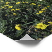 Gebirge und Wildblumen auf der Alm, blau Poster (Ecke)