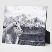 Gebirge und Ziegenebene Fotoplatte (Seite)