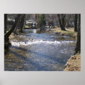Gebirgsbach Poster (Vorne)
