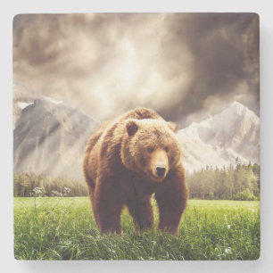 Gebirgsbär Steinuntersetzer