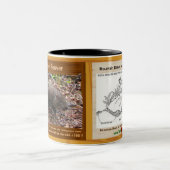 Gebirgsbiber, ein gefährdetes Nagetier, seine Zweifarbige Tasse (Mittel)