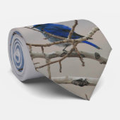 Gebirgsblau-Vogel Krawatte (Gerollt)