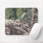 Gebirgsdrossel auf Granit Mousepad (Mit Mouse)