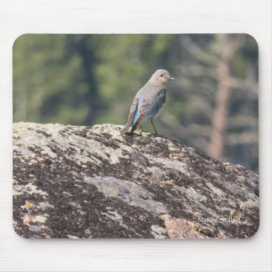 Gebirgsdrossel auf Granit Mousepad (Vorne)
