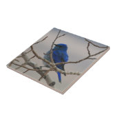 Gebirgsdrossel Fliese (Seite)