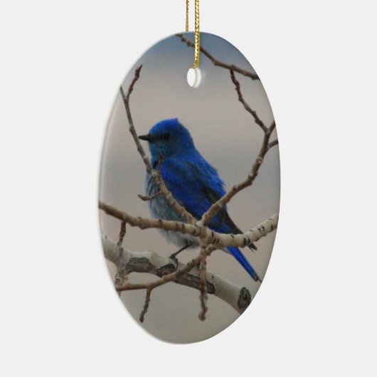 Gebirgsdrossel Keramik Ornament (Rechts)