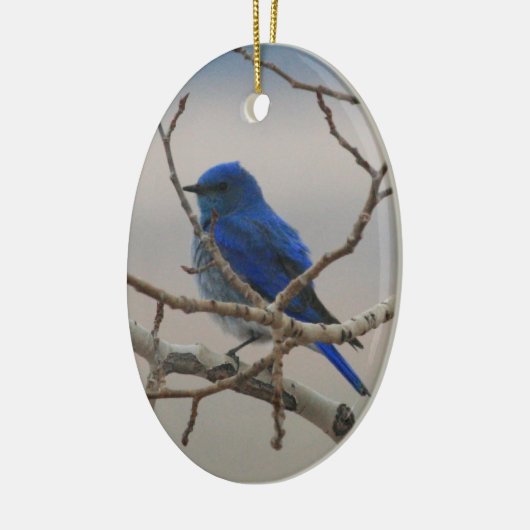 Gebirgsdrossel Keramik Ornament (Links)