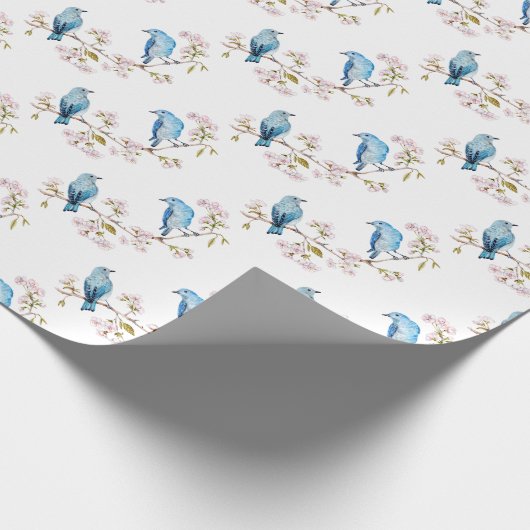 Gebirgsdrosseln auf Kirschblüte-Niederlassung Geschenkpapier (Ecke)