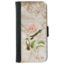 Gebirgsedelstein-Kolibri