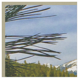 Gebirgsfallfabrik Stoff