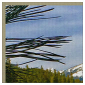 Gebirgsfallfabrik Stoff (Nahaufnahme)