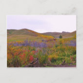 Gebirgsfarben Postkarte (Vorderseite)