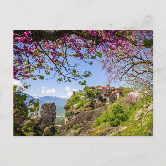 Gebirgsgestein und Rosa Kirschbaum Blume Blüte Postkarte (Vorderseite)