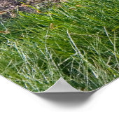 Gebirgshirsch und Lupine Print Poster (Ecke)