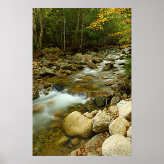 Gebirgskaskade Poster (Vorne)