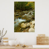 Gebirgskaskade Poster (Küche)