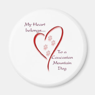 Gebirgskaukasier Magnet