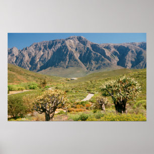 Gebirgskette, Worcester-Naturreservat Poster