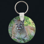 Gebirgslippe Schlüsselanhänger<br><div class="desc">Gebirgslippe</div>