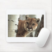 Gebirgslöwe, der eine Pose schlägt Mousepad (Mit Mouse)