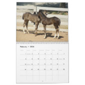 Gebirgspferde 2012 kalender (Feb 2026)