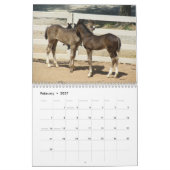 Gebirgspferde 2012 kalender (Feb 2027)