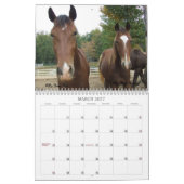 Gebirgspferdekalender 2013 kalender (Mär 2027)