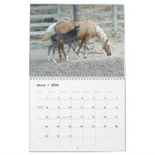Gebirgspferdekalender 2014 kalender (Mär 2026)