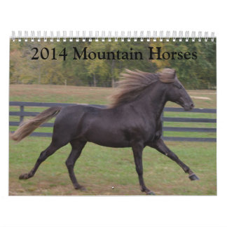 Gebirgspferdekalender 2014 kalender
