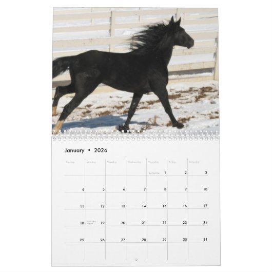 Gebirgspferdekalender 2014 kalender (Jan 2026)