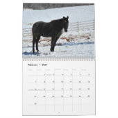 Gebirgspferdekalender 2014 kalender (Feb 2027)