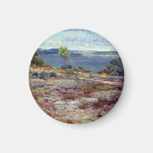 Gebirgspinken in Bloom, Magnet