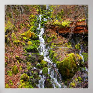 Gebirgsquelle Wasserfall.... Poster