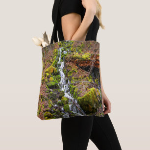 Gebirgsquelle Wasserfall.... Tasche