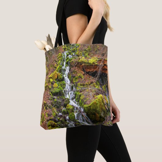 Gebirgsquelle Wasserfall.... Tasche (Von Nahem)