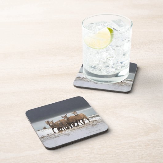 Gebirgsschaf-Familie Getränkeuntersetzer (Rechte Seite)