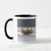 Gebirgsschaf-Familie Tasse (Links)