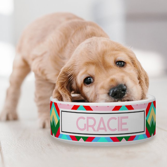 Gebirgsspitzen mit Pet-Namen Napf (A retro colorful dog bowl for your pup!)