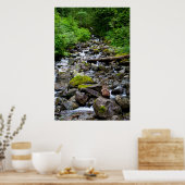 Gebirgsströmung Poster (Küche)