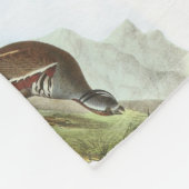 Gebirgswachteln durch Audubon Fleecedecke (Ecke)